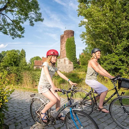 Vakantiewoning De Gulden Sleutels 度假居 *
